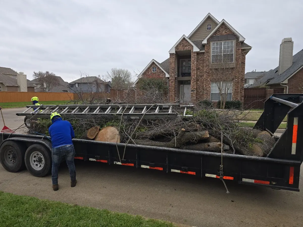 Expert Tree Fertilization with proper safety equipment in Talkeetna